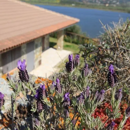 Sul Mare Residenze Di Bes 度假居 *